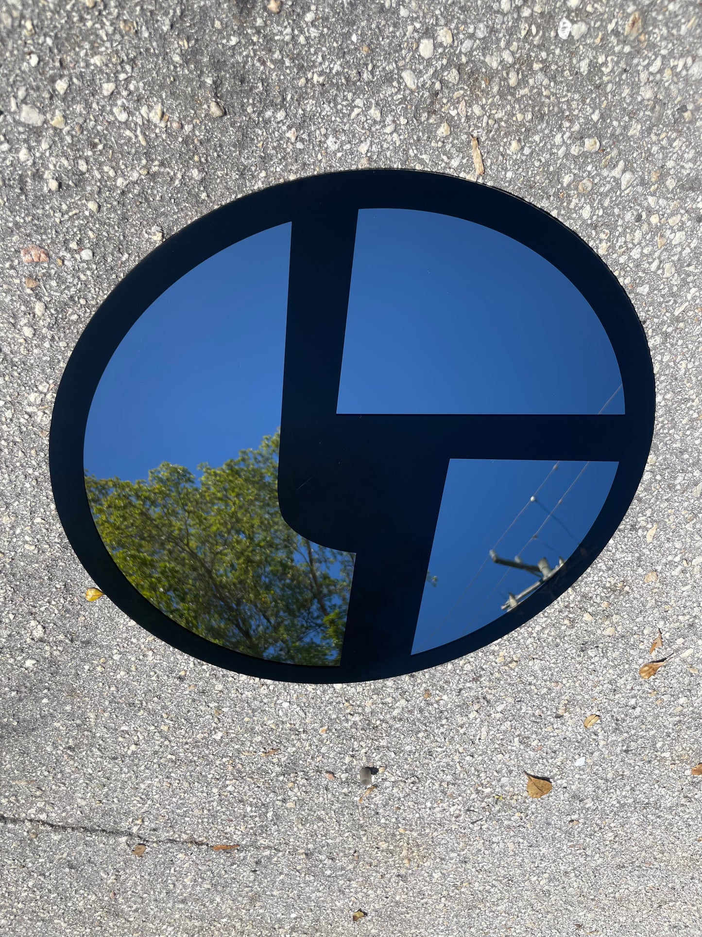 Disco Biscuits Logo Mirror